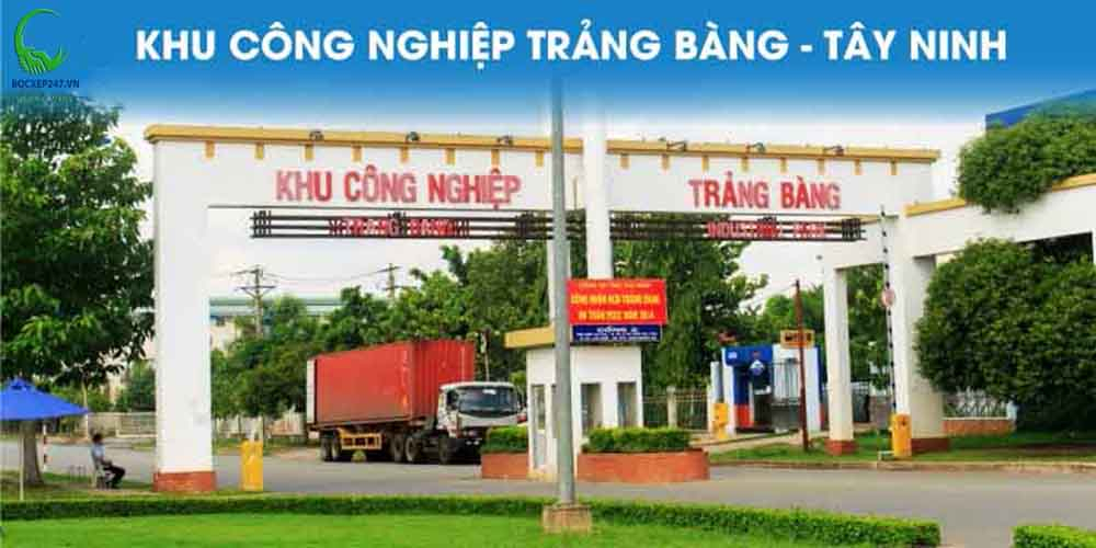 Cung Ứng Lao Động Khu Công Nghiệp Trảng Bàng: Giải Pháp Toàn Diện Từ Thành Tín 247