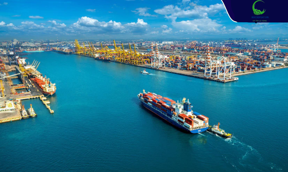 Top 10 công ty logistics tại Việt Nam theo ngành