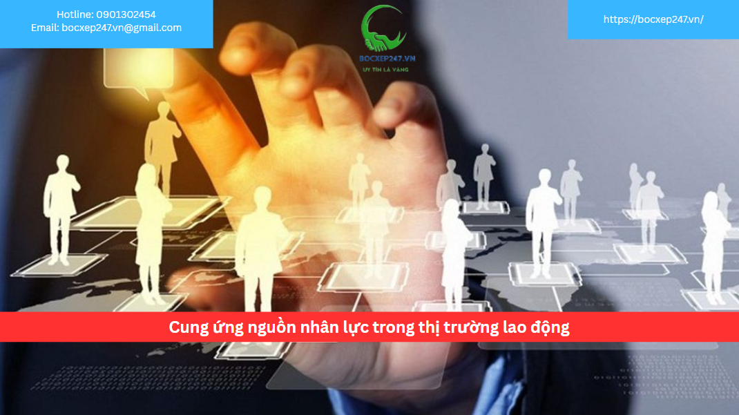Cung ứng nguồn nhân lực trong thị trường lao động