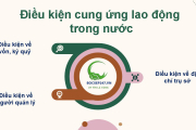 Điều kiện cung ứng lao động trong nước