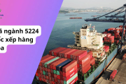 Mã ngành 5224 là gì? Bốc xếp hàng hóa thì đăng ký mã ngành nào?