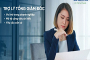Mô tả công việc Trợ lý Tổng giám đốc (mới nhất)