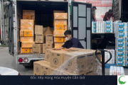 Bảng báo giá bốc xếp hàng hóa tại Huyện Cần Giờ