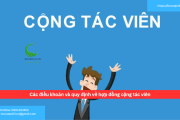 Các điều khoản và quy định về hợp đồng cộng tác viên