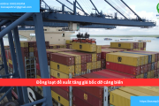 Đồng loạt đề xuất tăng giá bốc dỡ cảng biển