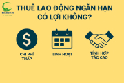 Thuê Lao Động Ngắn Hạn Có Lợi Không? - Dịch Vụ Bốc Xếp 247