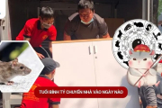 Tuổi Bính Tý Chuyển Nhà Vào Ngày Nào Đẹp Năm 2025?