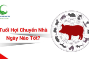 Tuổi Hợi Chuyển Nhà Ngày Nào Tốt? Chọn Ngày Đẹp Để Bình An