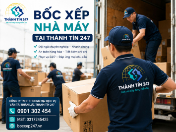 Dịch Vụ Bốc Xếp Nhà Máy Chuyên Nghiệp