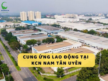 Cho Thuê Lao Động KCN Nam Tân Uyên: Giải Pháp Tối Ưu Cho Doanh Nghiệp Sản Xuất