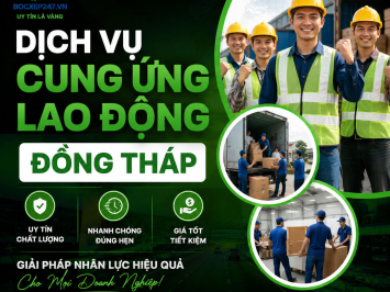 Dịch Vụ Cung Ứng Lao Động Đồng Tháp Uy Tín, Nhanh Chóng, Giá Tốt