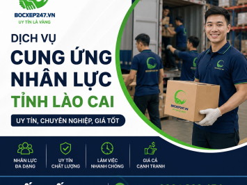 Dịch Vụ Cung Ứng Nhân Lực Tỉnh Lào Cai Uy Tín, Chuyên Nghiệp, Giá Tốt