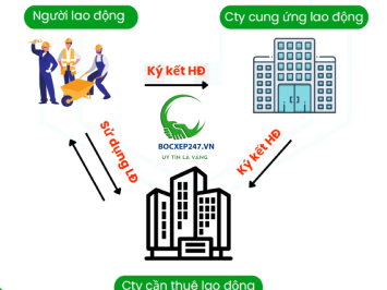 Dịch Vụ Cung Ứng Lao Động TPHCM Và Toàn Quốc | Giá Rẻ Từ 150k/Ca - 0901 302 454