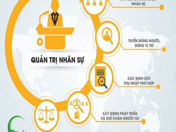 Ngành quản trị nhân lực học trường nào chất lượng nhất?