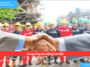 Bảng báo giá cung ứng lao động tại Hà Nội - Thành Tín 247