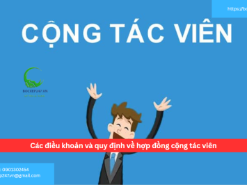 Các điều khoản và quy định về hợp đồng cộng tác viên