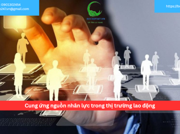 Cung ứng nguồn nhân lực trong thị trường lao động