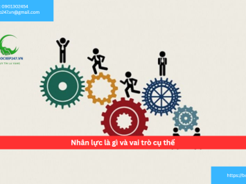 Nhân lực là gì và vai trò cụ thể