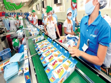 Việc làm thời vụ trả lương theo ngày tại TPHCM và những lưu ý