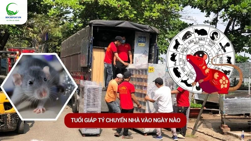 Tuổi Giáp Tý Chuyển Nhà Vào Ngày Nào Tốt Năm 2025? 