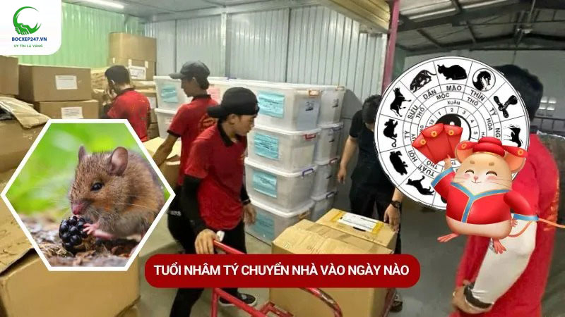 Tuổi Nhâm Tý Chuyển Nhà Vào Ngày Nào Đẹp Năm 2025?