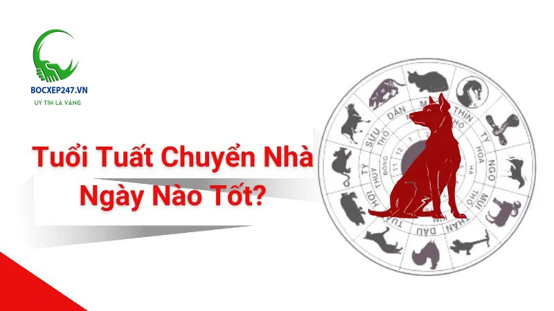 Tuổi Tuất Chuyển Nhà Ngày Nào Tốt? Chọn Ngày Tốt Đón Vận May