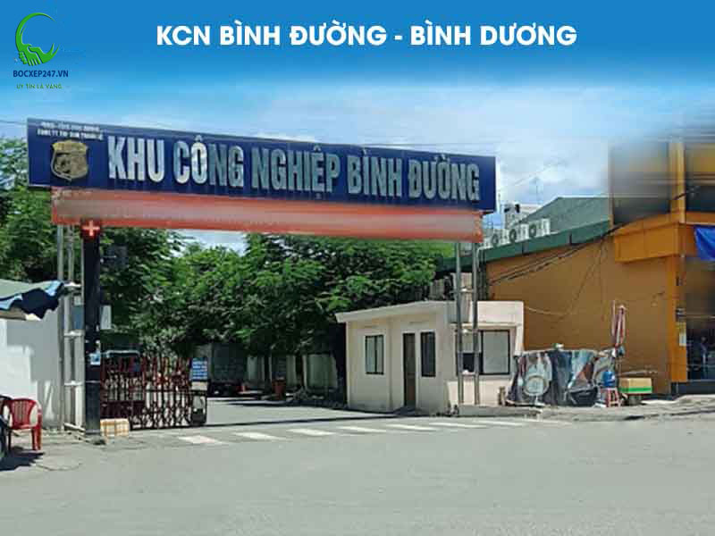 Cung Ứng Lao Động Khu Công Nghiệp Bình Đường: Thực Trạng, Quy Trình Và Dự Án Thực Tế Năm 2025