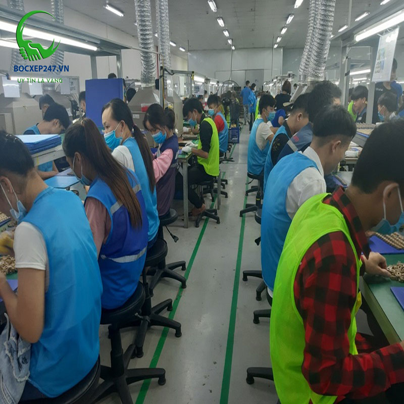 Cung ứng lao động Hải Phòng chất lượng cao