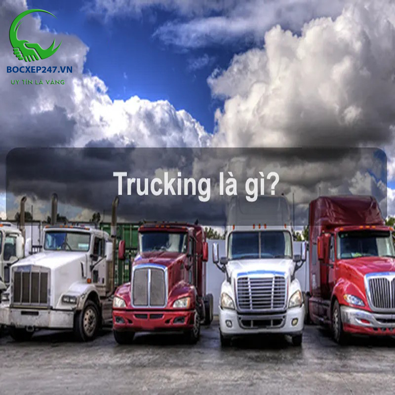 Trucking Fee Là Phí Gì? Tìm Hiểu Chi Tiết Về Các Loại Phí Trong Xuất Nhập Khẩu