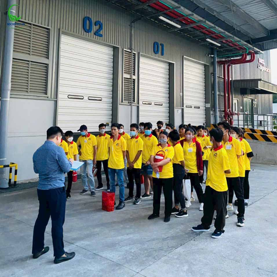 Cung ứng lao động huyện Long Thành: Giải pháp toàn diện cho doanh nghiệp