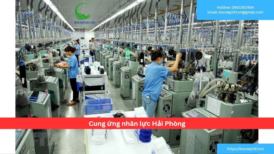 Cung ứng nhân lực Hải Phòng
