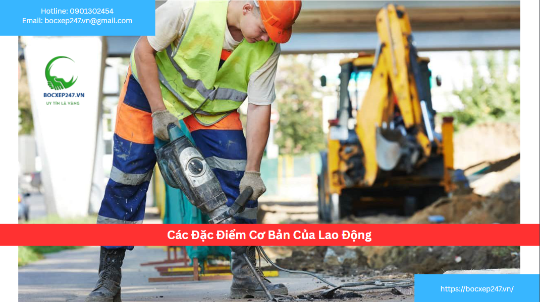 Các Đặc Điểm Cơ Bản Của Lao Động