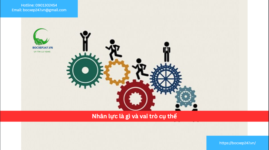 Nhân lực là gì và vai trò cụ thể