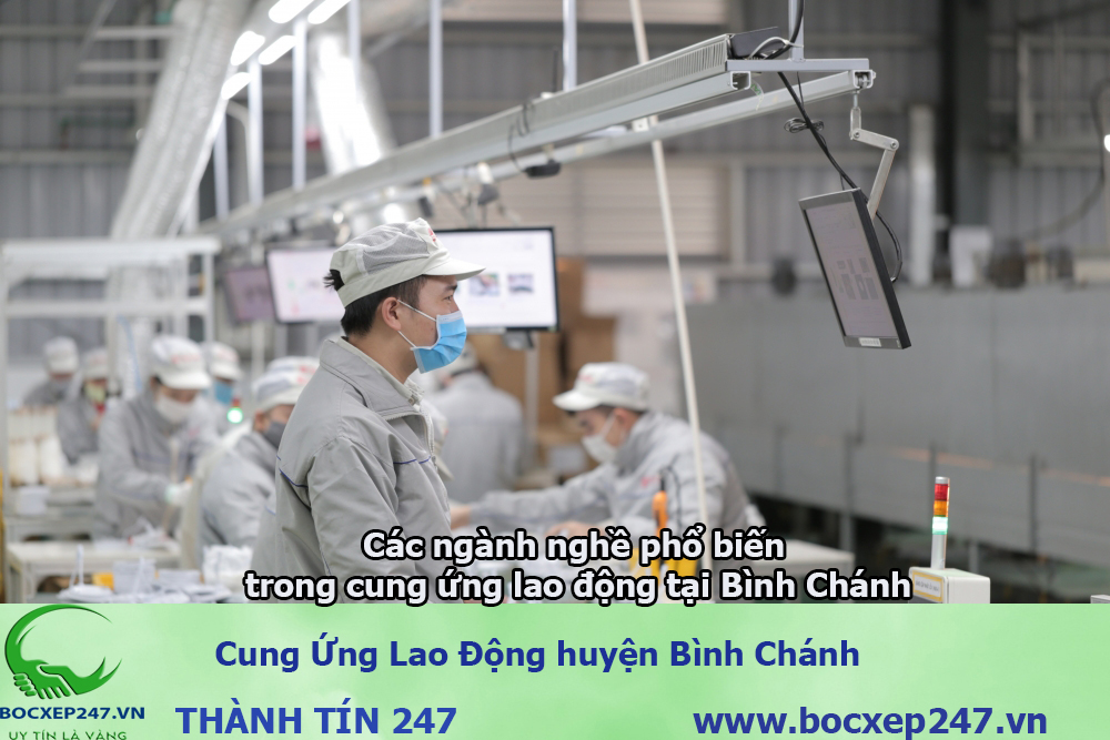 cung ứng lao động Huyện Bình Chánh
