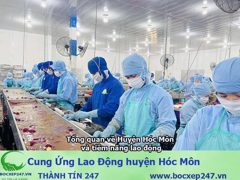 cung ứng lao động Huyện Hóc Môn