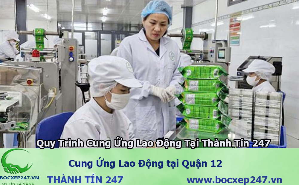 Cung ứng lao động Quận 12