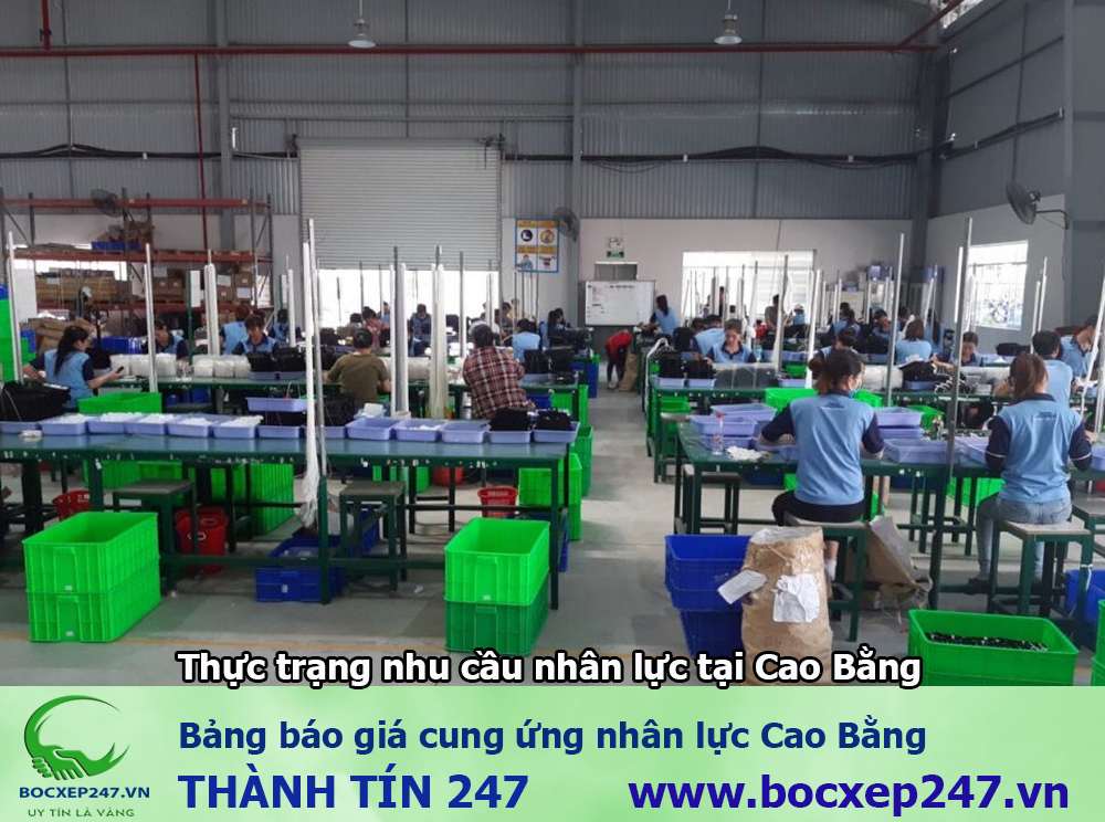 Bảng báo giá cung ứng nhân lực Cao Bằng