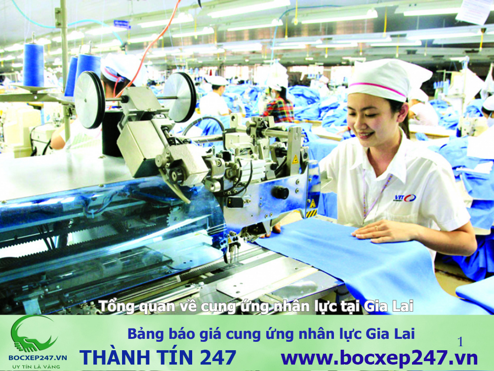 Bảng báo giá cung ứng nhân lực Gia Lai