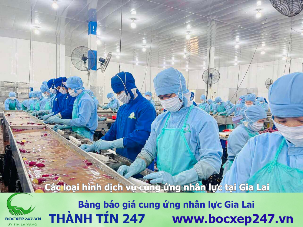 Bảng báo giá cung ứng nhân lực Gia Lai