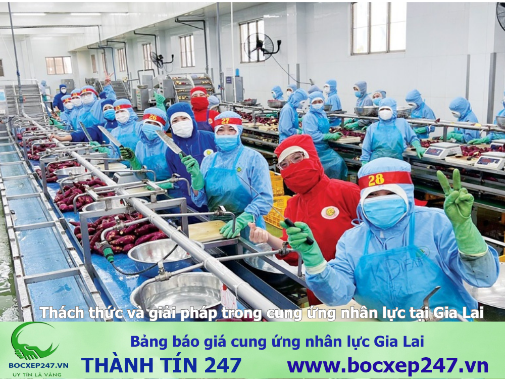 Bảng báo giá cung ứng nhân lực Gia Lai