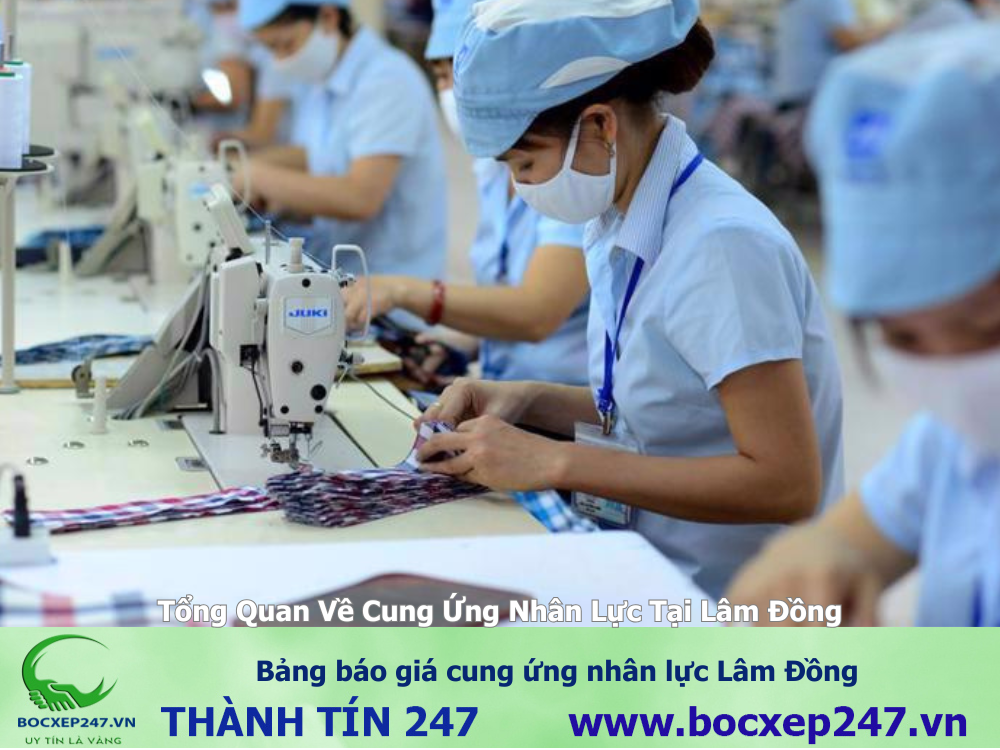 Bảng báo giá cung ứng nhân lực Lâm Đồng