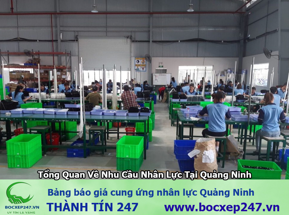 Dịch Vụ Cung Ứng Nhân Lực Tại Quảng Ninh