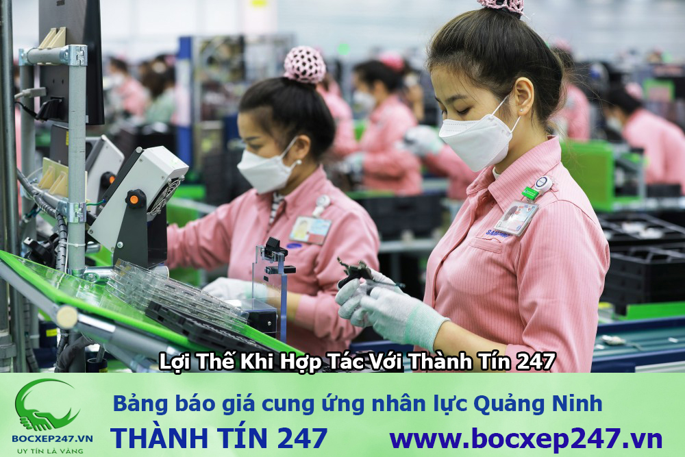 Dịch Vụ Cung Ứng Nhân Lực Tại Quảng Ninh
