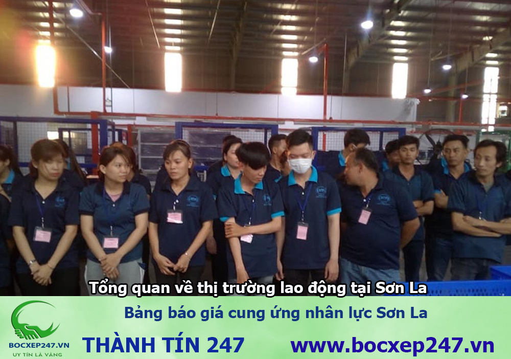 Bảng báo giá cung ứng nhân lực Sơn La