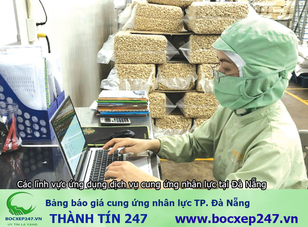 Bảng báo giá cung ứng nhân lực TP. Đà Nẵng