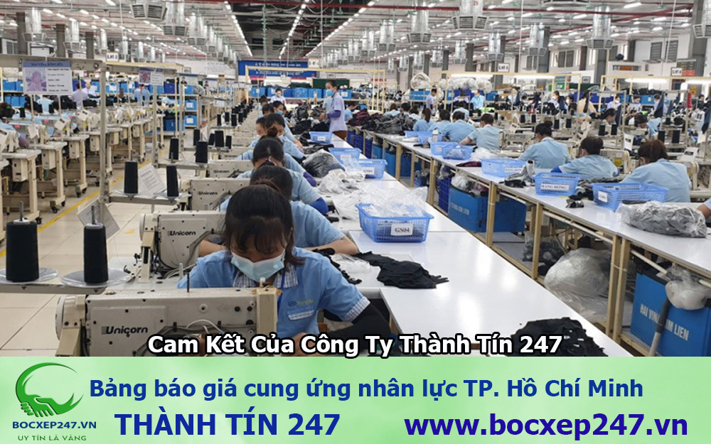 Bảng báo giá cung ứng nhân lực TP. Hồ Chí Minh