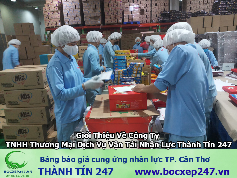 Bảng báo giá cung ứng nhân lực TP. Cần Thơ