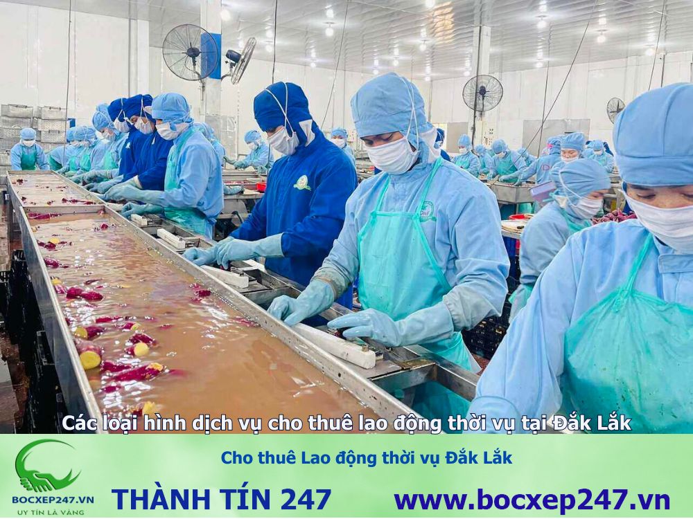 cho thuê Lao động thời vụ Đắk Lắk