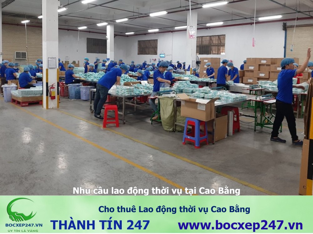 Cho thuê Lao động thời vụ Cao Bằng