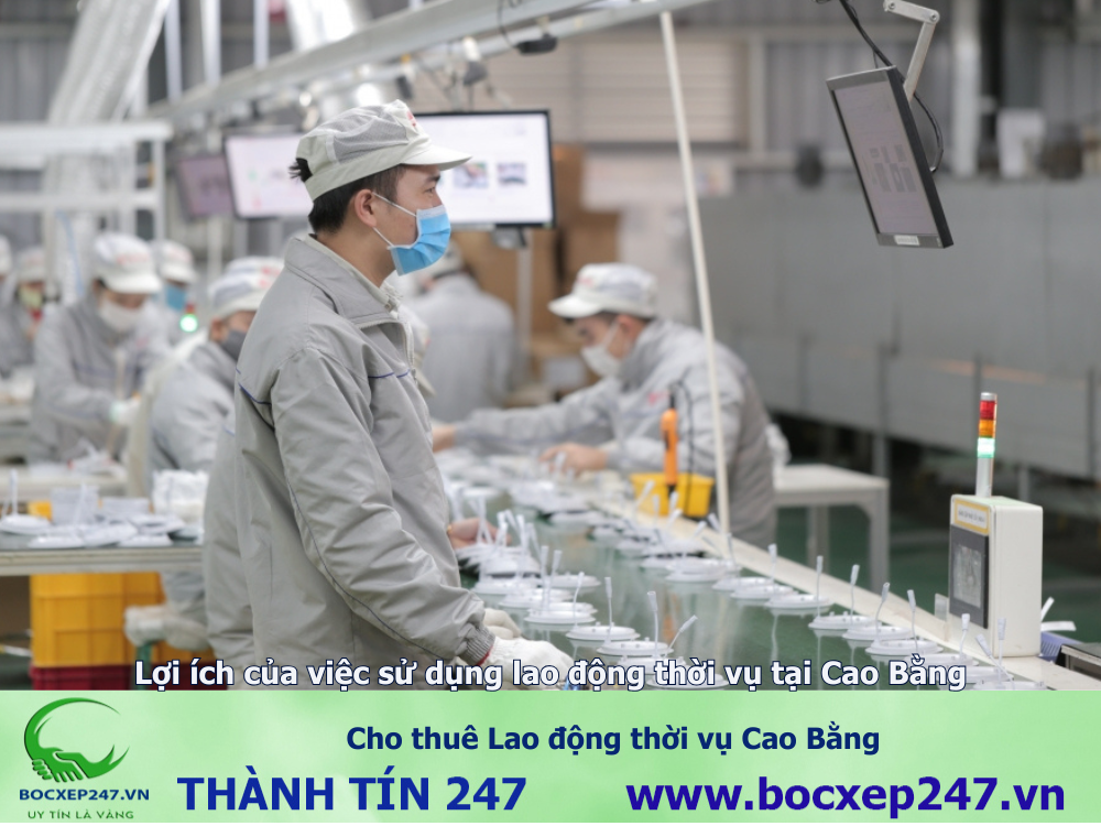 Cho thuê Lao động thời vụ Cao Bằng